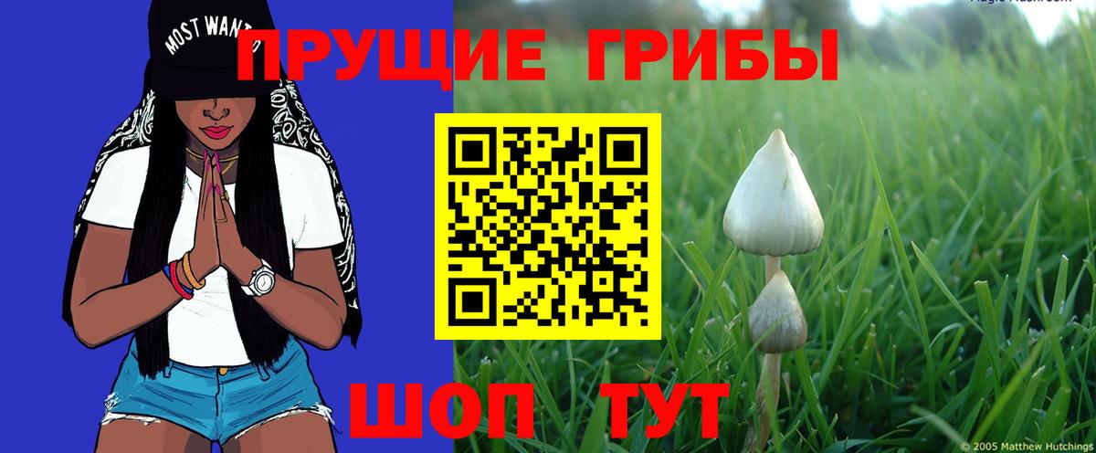 Галлюциногенные грибы MAGIC MUSHROOMS Пугачёв