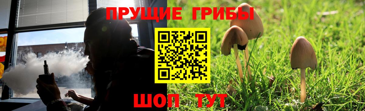 Псилоцибиновые грибы мицелий  Вход с VPN  наркотики  Пугачёв 